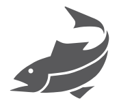ryba
