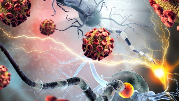 Choroby AUTOIMMUNOLOGICZNE – bunt systemu
